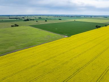 Mixed Farming For Sale - SA - Bool Lagoon - 5271 - Subiaco  (Image 2)