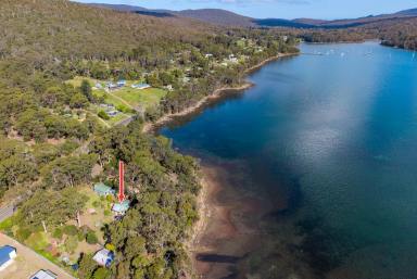 House For Sale - TAS - Taranna - 7180 - 2,780sqm of Waterfront Potential Across Two Titles  (Image 2)