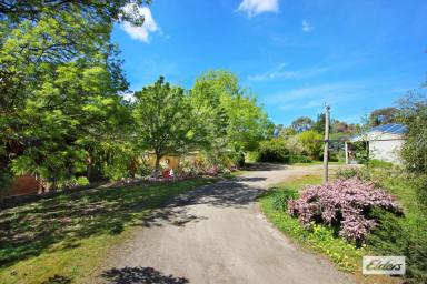 Acreage/Semi-rural For Sale - VIC - Lockwood - 3551 - UNIQUE PICTURESQUE HAVEN ON 12 ACRES (Image 2)