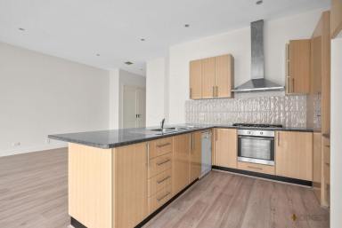 Unit For Lease - VIC - Parkdale - 3195 - Stylish, Modern Living in a Convenient Location (Image 2)
