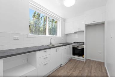 Unit For Lease - VIC - Parkdale - 3195 - QUIET AND PRIVATE - GROUND LEVEL WITH YARD!  (Image 2)