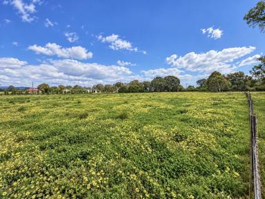 Acreage/Semi-rural For Sale - NSW - Thurgoona - 2640 - "Land bank opportunity knocks"  (Image 2)