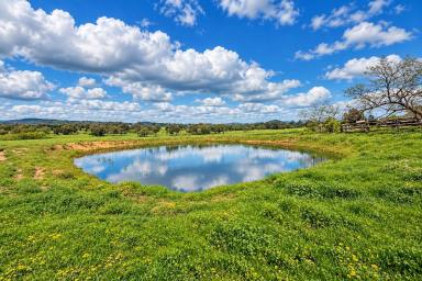 Acreage/Semi-rural For Sale - NSW - Thurgoona - 2640 - "Land bank opportunity knocks"  (Image 2)
