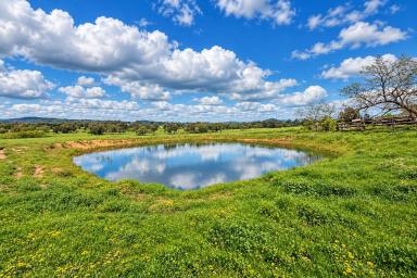 Acreage/Semi-rural For Sale - NSW - Thurgoona - 2640 - "Land bank opportunity knocks"  (Image 2)