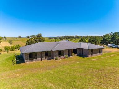 Acreage/Semi-rural For Sale - NSW - Kyogle - 2474 - Modern Country Living on Over 2 Acres (Image 2)