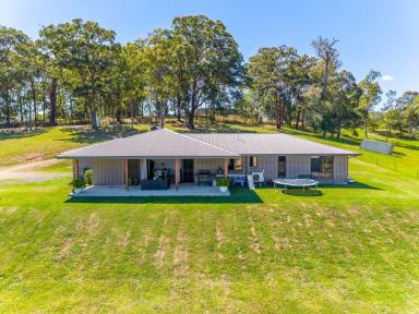 Acreage/Semi-rural For Sale - NSW - Kyogle - 2474 - Modern Country Living on Over 2 Acres (Image 2)