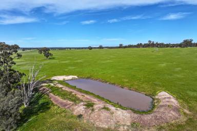 Other (Rural) For Sale - VIC - Cornella - 3551 - 312 ACRES GRAZING/CROPPING IN HIGH RAINFALL ZONE  (Image 2)