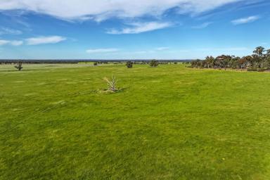 Other (Rural) For Sale - VIC - Cornella - 3551 - 312 ACRES GRAZING/CROPPING IN HIGH RAINFALL ZONE  (Image 2)