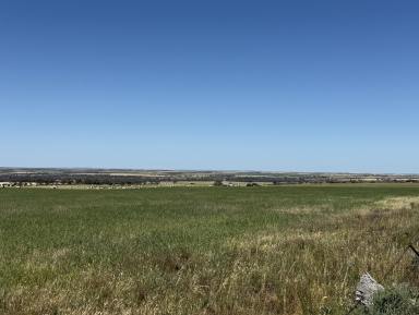 Residential Block For Sale - SA - Cambrai - 5353 - Off-Grid sanctuary on 12.5 hectares (31.3 Ac approx.) across 2 Titles. Peace, nature and views back to the hills and over the Marne valley.  (Image 2)