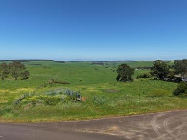 Livestock For Sale - VIC - Merino - 3310 - Productive Grazing Opportunity  (Image 2)