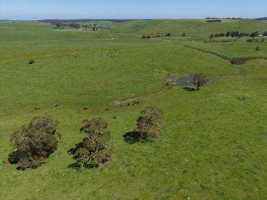 Livestock For Sale - VIC - Merino - 3310 - Productive Grazing Opportunity  (Image 2)