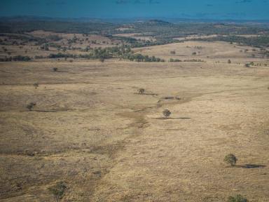 Livestock For Sale - QLD - Inglewood - 4387 - “Gwandalan” 2403 Stanthorpe-Inglewood Road Inglewood  (Image 2)