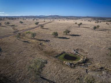 Livestock For Sale - QLD - Inglewood - 4387 - “Gwandalan” 2403 Stanthorpe-Inglewood Road Inglewood  (Image 2)