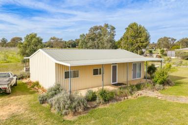 Acreage/Semi-rural For Sale - NSW - Canowindra - 2804 - Established cherry tree orchard & family home set on 10acres!  (Image 2)