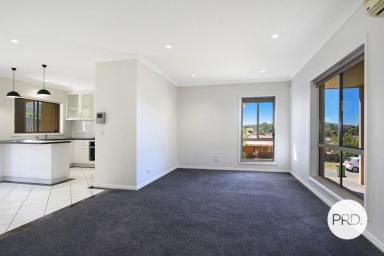 House For Lease - NSW - West Albury - 2640 - COMFORTABLE THREE BEDROOM HOME!  (Image 2)