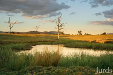 Lifestyle For Sale - NSW - Dalwood - 2335 - A View to a Beautiful Life  (Image 2)