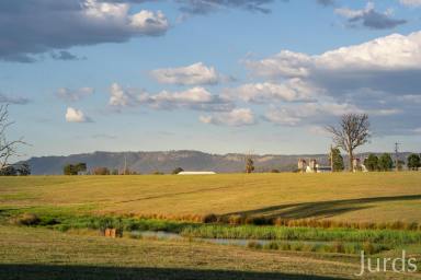 Lifestyle For Sale - NSW - Dalwood - 2335 - A View to a Beautiful Life  (Image 2)