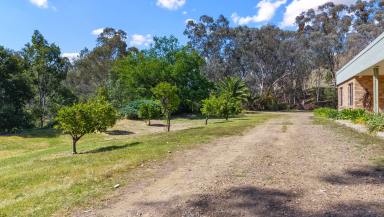 Lifestyle For Sale - NSW - Tamworth - 2340 - SECLUDED LIFESTYLE LIVING WITHIN MINUTES TO CBD  (Image 2)