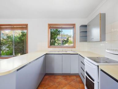 House For Lease - TAS - Old Beach - 7017 - Relaxed Living in the Heart of Old Beach (Image 2)