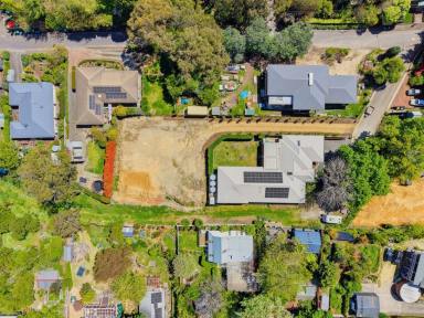 Residential Block For Sale - SA - Stirling - 5152 - Exceptional 1,102m² Allotment in the Heart of Stirling - Build Your Dream Home (Image 2)