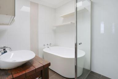 House For Lease - NSW - Seven Hills - 2147 - Spacious 4 Bedroom Home with District View (Image 2)