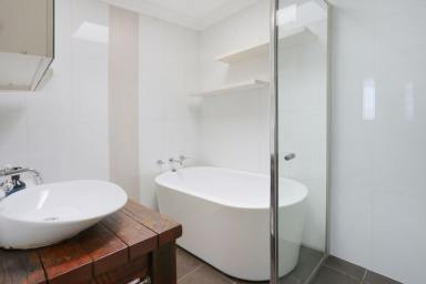 House For Lease - NSW - Seven Hills - 2147 - Spacious 4 Bedroom Home with District View  (Image 2)