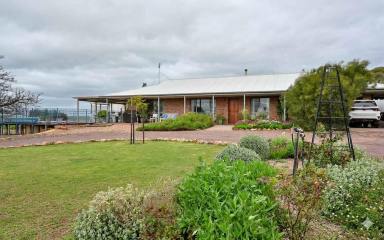 Other (Rural) For Sale - SA - Quorn - 5433 - Expression Of Interests close 6th November at 12pm (Image 2)
