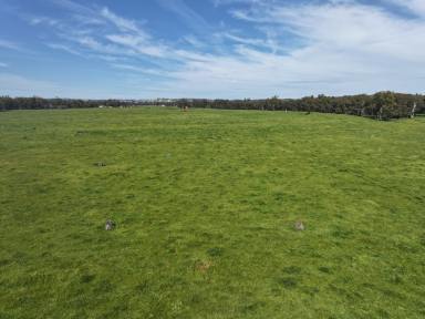 Mixed Farming For Sale - NSW - Wagga Wagga - 2650 - 'AYTON VALE' - WHERE THE RIVER MEETS THE CITY  (Image 2)