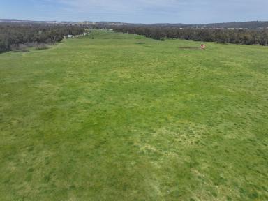 Mixed Farming For Sale - NSW - Wagga Wagga - 2650 - 'AYTON VALE' - WHERE THE RIVER MEETS THE CITY  (Image 2)