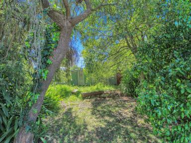 House For Sale - VIC - Bruthen - 3885 - ROLL UP YOUR SLEEVES — THERE’S A PROJECT WAITING FOR YOU!  (Image 2)
