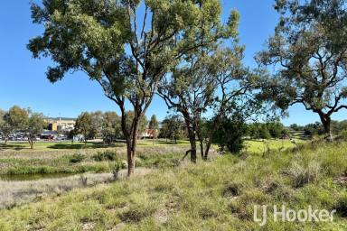 Residential Block For Sale - NSW - Inverell - 2360 - A Rare Opportunity in an Elevated Inverell Location (Image 2)