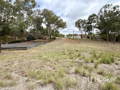 Residential Block For Sale - NSW - Inverell - 2360 - A Rare Opportunity in an Elevated Inverell Location  (Image 2)