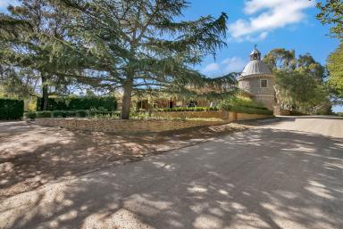 Lifestyle For Sale - SA - Springton - 5235 - Grand Cru Estate, iconic Barossa Valley masterpiece. 120 Ha. Limitless hospitality or residential potential. Country lifestyle at scale. (Image 2)