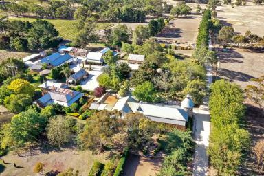 Lifestyle For Sale - SA - Springton - 5235 - Grand Cru Estate, iconic Barossa Valley masterpiece. 120 Ha. Limitless hospitality or residential potential. Country lifestyle at scale. (Image 2)
