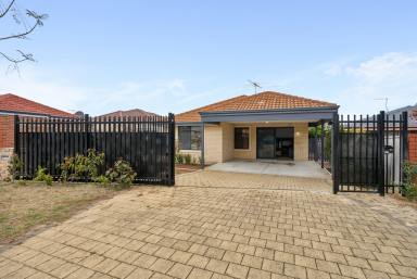 House For Sale - WA - Balcatta - 6021 - A Good Home. A Great Next Step.  (Image 2)
