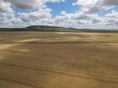 Residential Block For Sale - SA - South Hummocks - 5550 - BUILD IT. FARM IT. POWER THE FUTURE.  (Image 2)