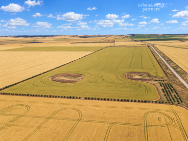 Residential Block For Sale - SA - South Hummocks - 5550 - BUILD IT. FARM IT. POWER THE FUTURE.  (Image 2)