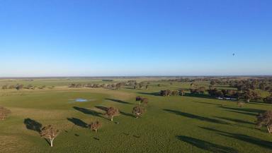 Other (Rural) Auction - SA - Penola - 5277 - High Rainfall Grazing (Image 2)