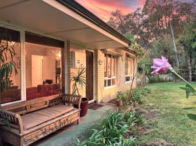 House For Sale - WA - Parkerville - 6081 - Cottage Charm, Wandoo Floors and a Studio for making Beautiful Sounds  (Image 2)