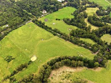 Mixed Farming For Sale - VIC - Bennison - 3960 - Ideal Turnout Paddock  - Adjoining the Rail Trail  (Image 2)