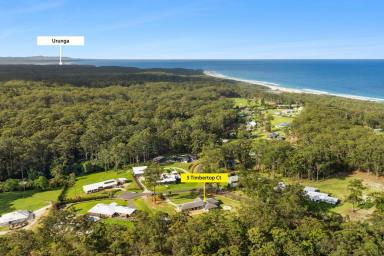 House For Sale - NSW - Valla - 2448 - A Country Lifestyle Masterpiece at the “Pearl at Valla” Estate  (Image 2)