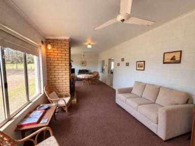 Acreage/Semi-rural For Sale - QLD - Tolga - 4882 - Acreage Opportunity with Room to Make It Your Own  (Image 2)