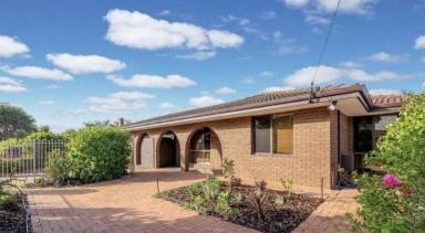 House For Sale - WA - Riverton - 6148 - Large 6 x 3 House in Rossmoyne Senior High School Zone  (Image 2)