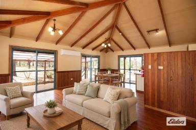 House For Sale - QLD - Regency Downs - 4341 - Your Future, Your Haven, Your HOME  (Image 2)