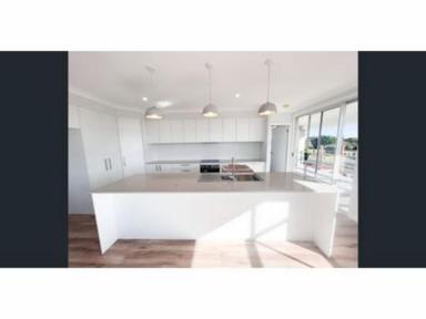 House For Lease - NSW - Diamond Beach - 2430 - Executive four bedroom home plus study  (Image 2)