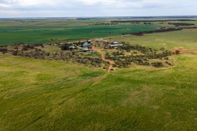 Mixed Farming For Sale - SA - Wanbi - 5310 - Landmark Scale in the Murray Mallee (Image 2)