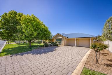 House For Sale - SA - Naracoorte - 5271 - Exceptional Retirement, Executive, Low Maintenance Living - 1,217m2  (Image 2)