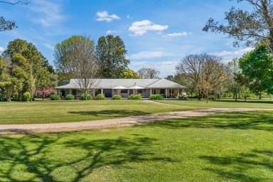 Livestock For Sale - VIC - Bailieston - 3608 - BLUE-RIBBON GOULBURN RIVER HOLDING  (Image 2)
