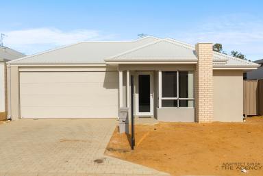 House For Sale - WA - Parmelia - 6167 - Brand New 2026-Built Four-Bedroom Home by Plunkett Homes  (Image 2)