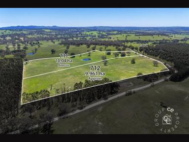 Lifestyle For Sale - SA - Mount Pleasant - 5235 - Two beautiful parcels of land, each 24 acres and each $645,000-$675,000.  (Image 2)